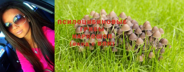 винт Армянск