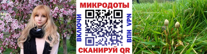 что такое наркотик  Пущино  Псилоцибиновые грибы Psilocybe 